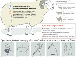 Ид аль-Адха (Курбан-Байрам) в 2013 году. Ид аль-Адха (Курбан-Байрам) в 2013 году.