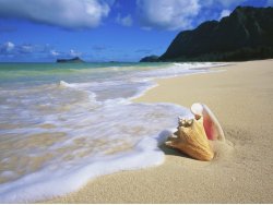 Чечня. Океан воспоминаний